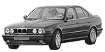 BMW E34 P020E Fault Code